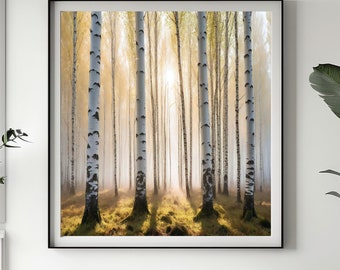 RADIENT BIRCH FOREST - Forest Art - Digital Download - Wall Art - Decorative Wall Art - Instant Download