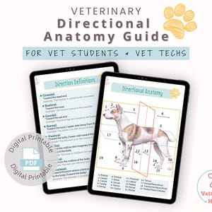 Diergeneeskundige richtinganatomiegrafiek, studiegids veterinaire anatomie | Dierenartstechniek, studienotities dierenartsverpleegkundige | Anatomie voor dierenartsen | Digitale download