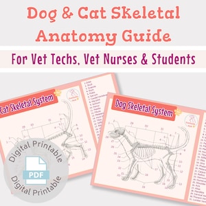 Quick Reference Skeletal Anatomy Guide for Cats and Dogs - For vet nurse, vet tech, vet student- Digital printable download- Vet study guide
