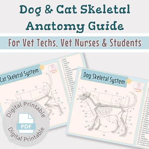 Quick Reference Skeletal Anatomy Guide for Cats and Dogs - For vet nurse, vet tech, vet student- Digital printable download- Vet study guide