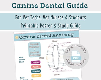 Vet med dental guide poster | Veterinary Quick reference study guide | For vet nurse, vet tech, vet student | Digital printable download