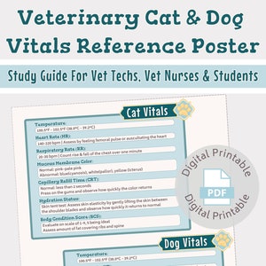 Vet med Dog & Cat vitals poster | Veterinary Quick reference study guide | For vet nurse, vet tech, vet student | Digital printable download