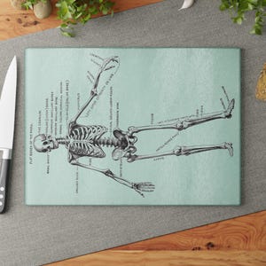 May include: A vintage anatomical illustration of a human skeleton with labeled bones on a light blue background. The skeleton is standing with arms outstretched and legs slightly apart. The illustration is printed on a cutting board.