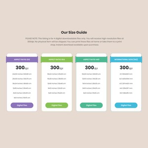 May include: A size guide for digital printable files with four different aspect ratios: 2x3, 3x4, 4x5, and international sizes (ISO). The guide shows the dimensions in inches and centimetres for each aspect ratio, as well as the corresponding ISO paper sizes in millimetres. The resolution of the files is 300 dpi. The text "Digital Files" appears below each aspect ratio.