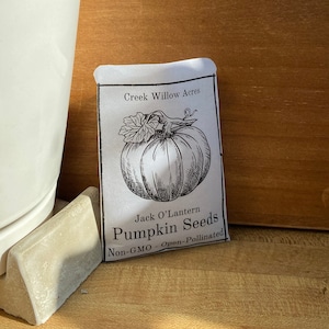 Jack O'Lantern Pumpkin Seeds | Non-GMO - Open Pollinated - Heirloom | Halloween Pumpkin Seeds | Cottage Garden Pumpkins | Organic Pumpkins