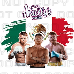 CANELO ALVAREZ design