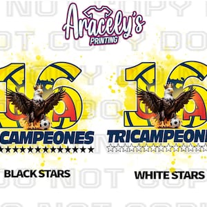 TRI CAMPEONES AMERICA