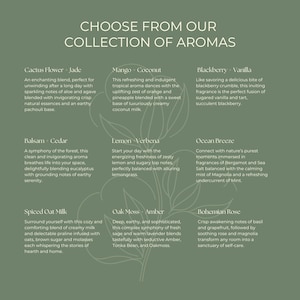 Collection of Aromas
Cactus Flower + Jade, Mango + Coconut, Blackberry + Vanilla, Balsam + Cedar, Lemon + Verbena, Ocean Breeze, Spiced Oat Milk, Oak Moss - Amber, Bohemian Rose