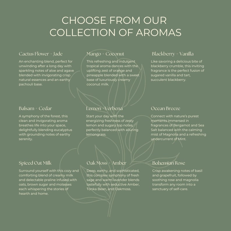 Collection of Aromas
Cactus Flower + Jade, Mango + Coconut, Blackberry + Vanilla, Balsam + Cedar, Lemon + Verbena, Ocean Breeze, Spiced Oat Milk, Oak Moss - Amber, Bohemian Rose