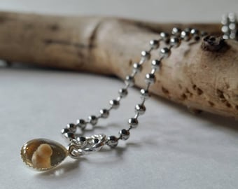 ƸӜƷ SALE Tear drop Mustard seed jewelry, REAL mustard seed charm