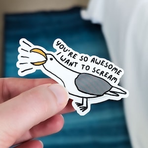 Gaviota solidaria piensa: &quot;Eres tan genial que quiero gritar&quot; / Pegatina linda, pegatina divertida, pegatina de gaviota