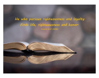 Proverbs 21:21