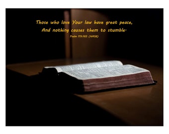 Psalm 119:165