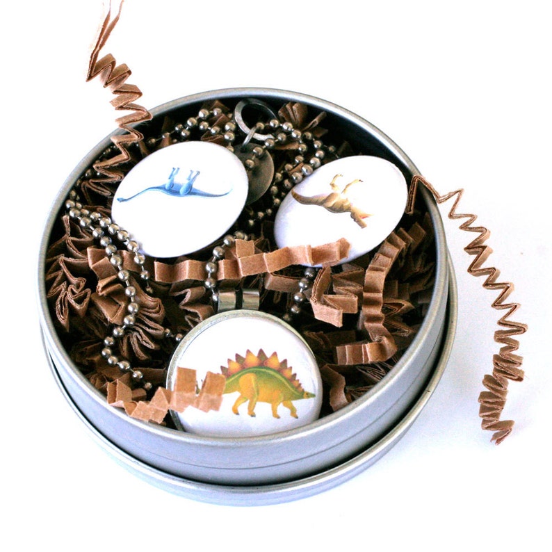 Dinosaur Necklace Dinosaur Locket Boy Jewelry Girls Love Etsy