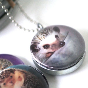 Hedgehog Art Locket Necklace Colorful, Fun, Magnetic, 3 Pendant Set, Hedgehog Paintings, Recycled, Silver Steel, MeaganV Art, Polarity image 2