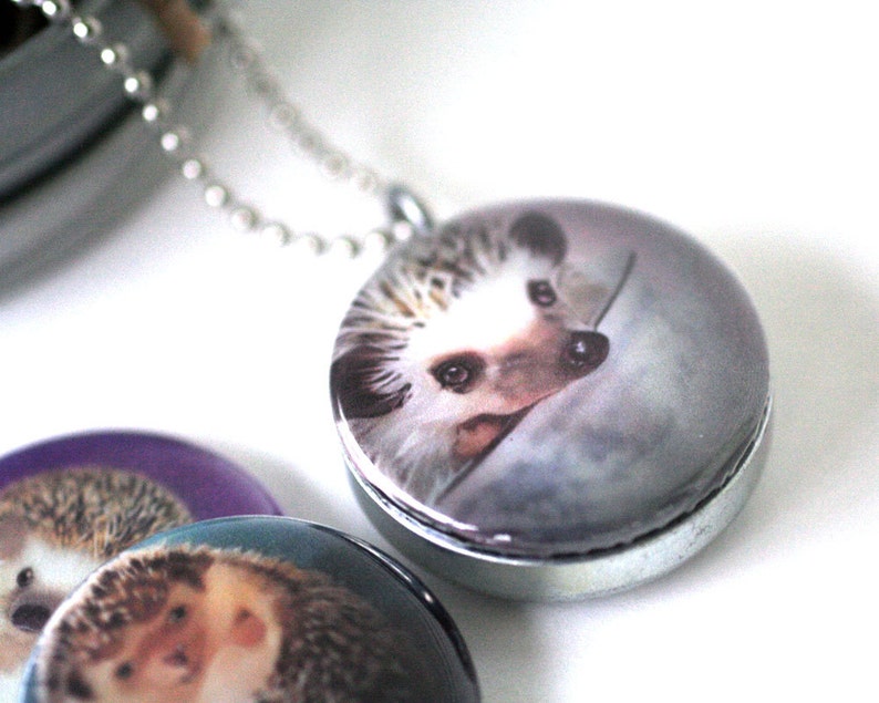 Hedgehog Art Locket Necklace Colorful, Fun, Magnetic, 3 Pendant Set, Hedgehog Paintings, Recycled, Silver Steel, MeaganV Art, Polarity image 2