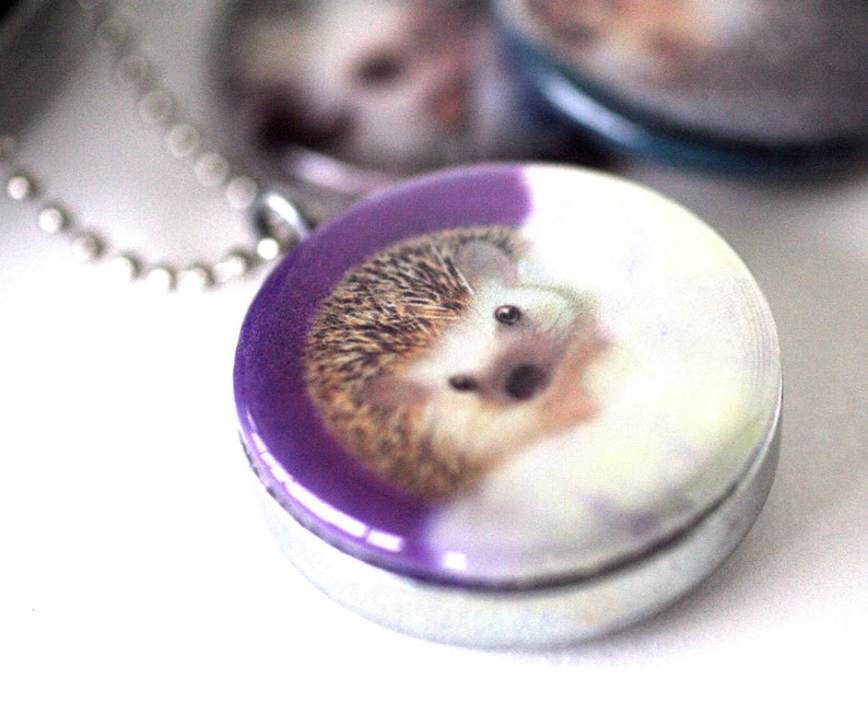 Hedgehog Art Locket Necklace Colorful, Fun, Magnetic, 3 Pendant Set, Hedgehog Paintings, Recycled, Silver Steel, MeaganV Art, Polarity image 3