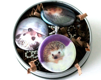 Hedgehog Art Locket Necklace - Colorful, Fun, Magnetic, 3 Pendant Set, Hedgehog Paintings, Recycled, Silver Steel, MeaganV Art, Polarity