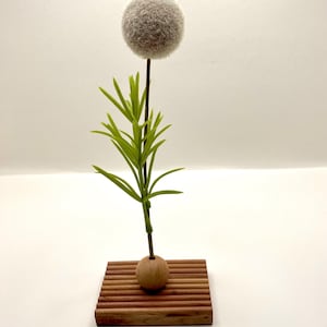 May include: A white fluffy ball on a wooden stand with a green plant growing from the base.