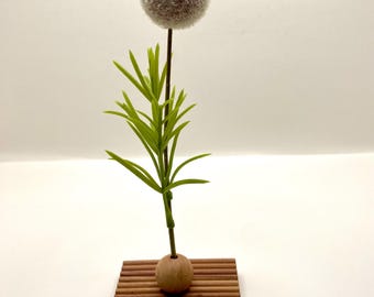 Modern Design Minimalist Stem Holder.Hand Crafted Natural Decor. Natural Wood. Dry Stem, Flower, Twig, Grass Display. Nature Lover Gift.