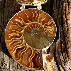 Biwa Freshwater Pearl Ammonite and Citrine Sterling Silver Fine Art Jewelry Pendant image 3