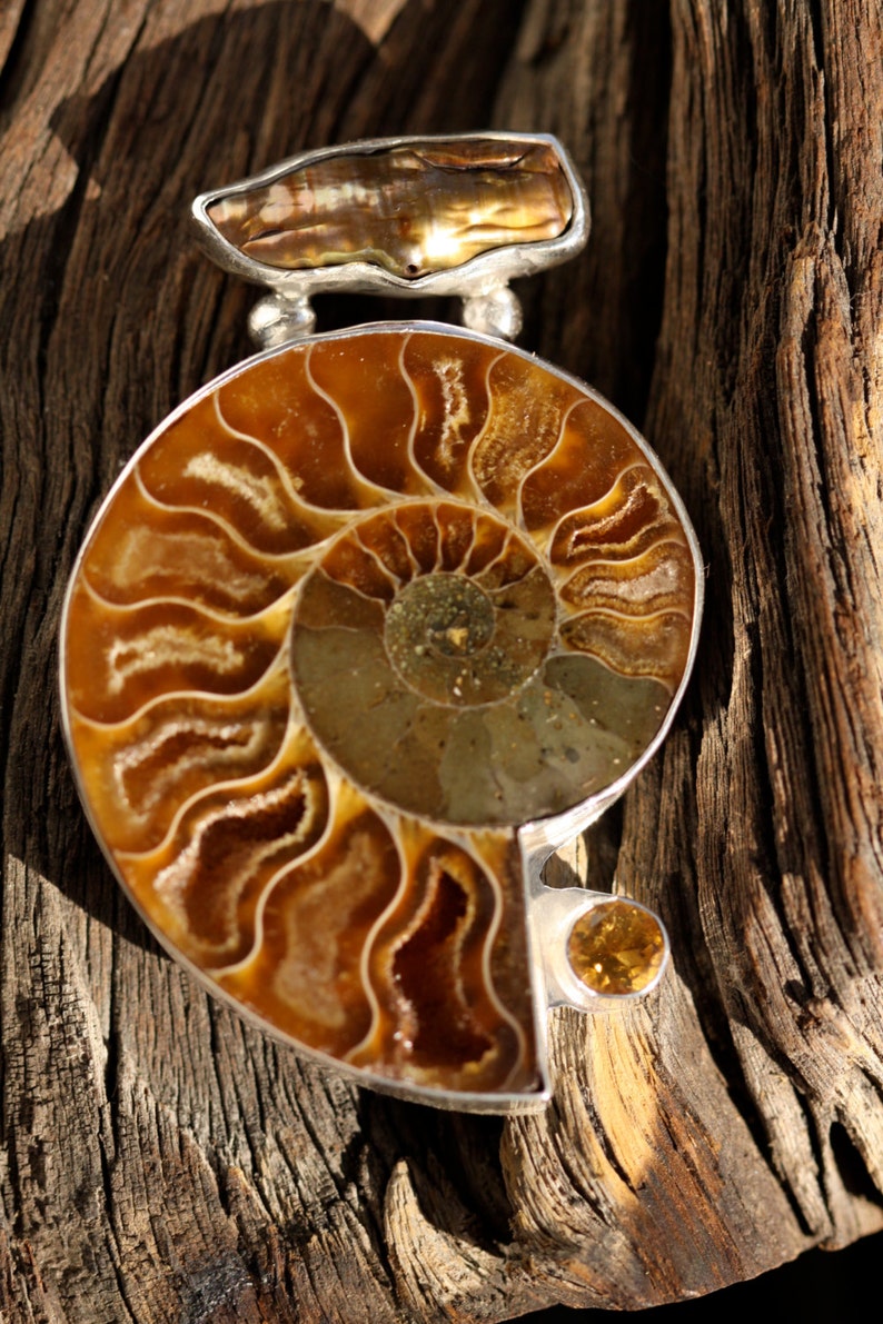 Biwa Freshwater Pearl Ammonite and Citrine Sterling Silver Fine Art Jewelry Pendant image 3