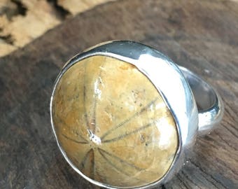 Sterling Silver Fossil Ring - Sea Urchin Sea Biscuit Sand Dollar