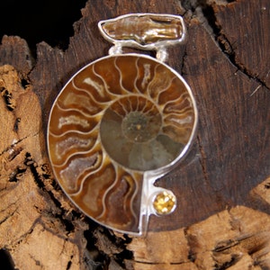 Biwa Freshwater Pearl Ammonite and Citrine Sterling Silver Fine Art Jewelry Pendant image 4