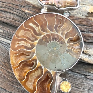 Biwa Freshwater Pearl Ammonite and Citrine Sterling Silver Fine Art Jewelry Pendant image 1