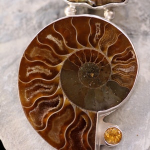 Biwa Freshwater Pearl Ammonite and Citrine Sterling Silver Fine Art Jewelry Pendant image 5