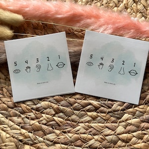 Könnte beinhalten: Zwei quadratische weiße Karten mit Illustrationen der fünf Sinne, nummeriert von 1-5. Jede Karte zeigt einen anderen Sinn: Mund, Nase, Ohr, Hand und Auge. Die Karten liegen auf einer gewebten Oberfläche mit rosa und beigen Dekorationselementen.