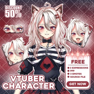 Custom Live2D Vtuber Model: Character Design, Rigging & Animation