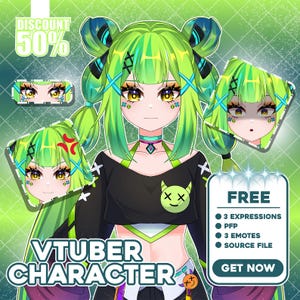 Custom Live2D Vtuber Model Commission: Rigging & Animation