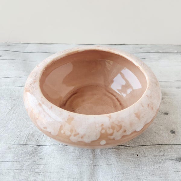 Vintage Shallow Planter Bowl / Pink Peach Round Ceramic Planter / Succulent Planter