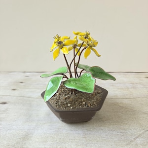 May include: A decorative sculpture of a plant with bright yellow flowers and glossy green leaves. The plant has thin brown stems and is potted in a hexagonal dark brown container filled with small, textured, light brown gravel soil.