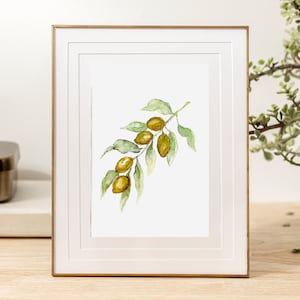 Olive Branch,Watercolor Art Print,Kitchen Wall Decor,Gift New House,Olive Botanical Art,Farmhouse Wall Decor