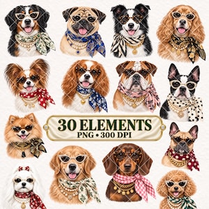 Puede incluir: Una colección de 30 ilustraciones digitales de varias razas de perros con gafas decorativas, collares de perlas, cadenas de oro y pañuelos estampados. Una placa dorada central muestra el texto 30 ELEMENTS PNG 300 DPI.