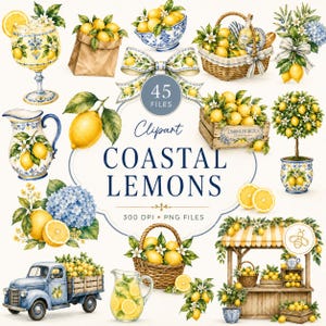 Coastal Lemon Clipart Bundle, Mediterranean Lemon PNG, Amalfi Coast Clipart, Blue Tile Lemon Pattern, Italian Summer PNG, Hydrangea Lemon
