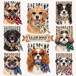 Puede incluir: Una colección digital de ocho retratos de perros de varias razas con gafas de sol, pañuelos estampados y collares de perlas o dorados. Un estandarte central muestra el texto GLAM DOGS 30 ELEMENTS 300 DPI PNG sobre fondo claro.