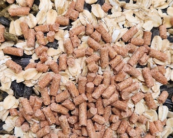 May include: A stainless steel bowl containing a mix of pet food. The food includes brown pellets, black sunflower seeds, beige oats, and reddish-brown extruded pieces. The food is a mix of textures and colours.