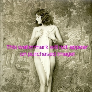 SEMI-NUDE Stunning  MODEL Vintage Photos Photographs Photography Reprint