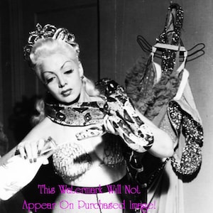 Vintage BURLESQUE Dancer ZORITA B&W Photos Photographs Portraits Wall Art Decor