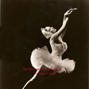 Vintage Broadway Follies Theater Showgirl BALLET BALLERINA DANCER Photos Photographs Portraits Reprint 8