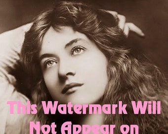 Beautiful Model c. 1900 VINTAGE PHOTO Reprint