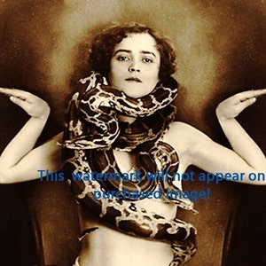 Old Vintage Antique CIRCUS SNAKE CHARMER Photo Reprint