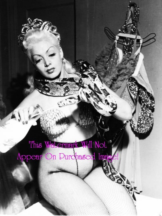 Vintage BURLESQUE Dancer ZORITA B&W Photos Photographs Portraits Wall Art  Decor - Etsy