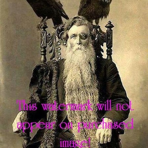 Old Vintage Antique STRANGE CREEPY Bearded Man with WREN Birds Photo Reprint