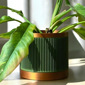 May include: A green planter with a copper-coloured rim, featuring a ribbed design. A green plant with large leaves is growing in the planter.