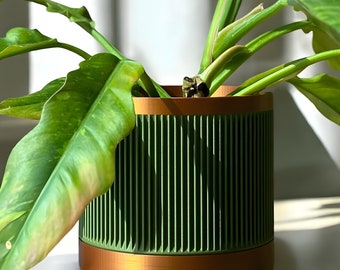 May include: A green planter with a copper-colored rim, featuring a ribbed design. A green plant with large leaves is growing in the planter.