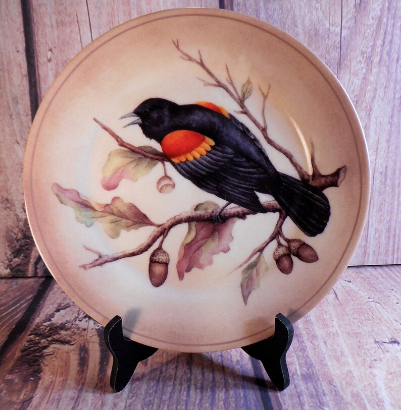 Red Winged Black Bird Plate Decorative Wall Platebird Decor Etsy